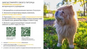 В Подмосковье запущена онлайн-регистрация питомцев