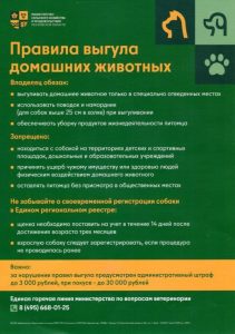 В Подмосковье действуют правила выгула домашних животных