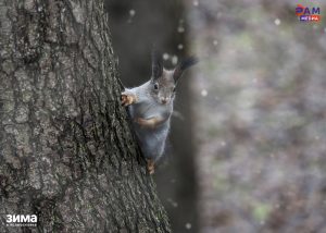Выходные в Раменском парке: пробежки, танцы и мастер-классы