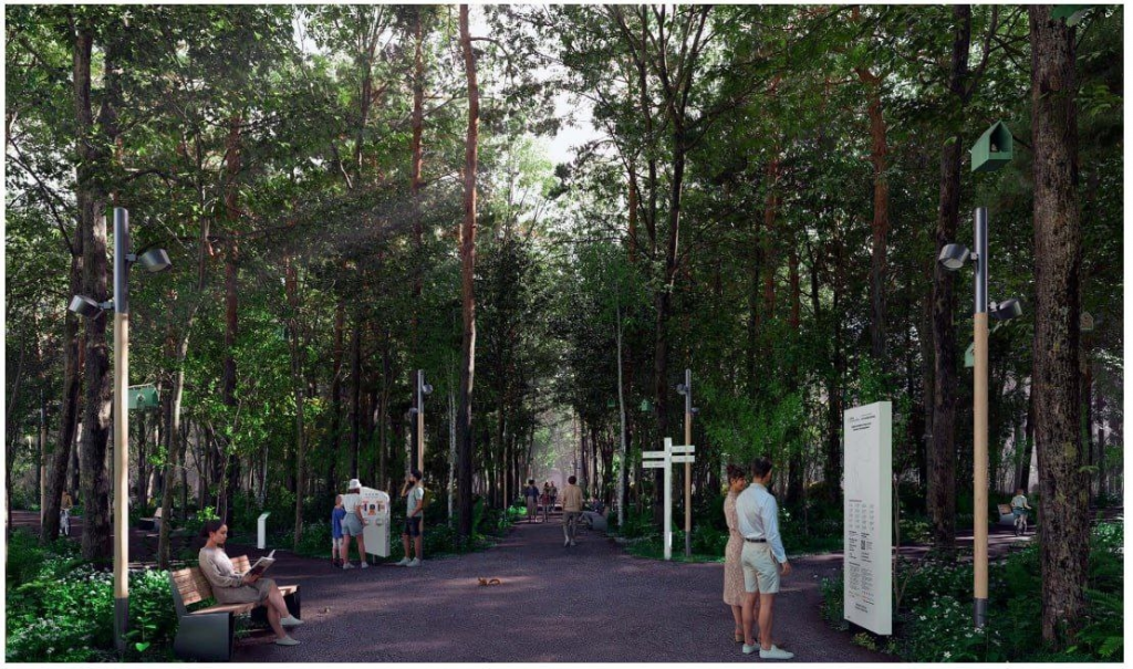 Благоустройство Раменского лесопарка 