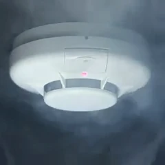 Внимание, многодетные семьи Раменского м.о.!