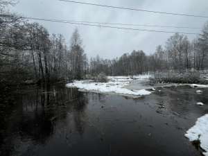 По состоянию на 29 апреля паводкоопасная обстановка на территории Раменского округа остается стабильной