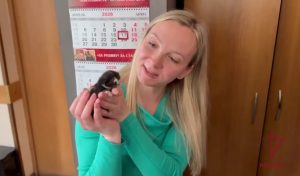 Росгвардейцы спасли замерзающих котят в Раменском