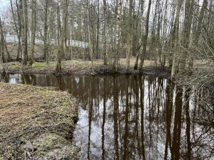 По состоянию на 21 апреля паводкоопасная обстановка на территории Раменского округа остается стабильной