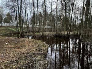 По состоянию на 23 апреля паводкоопасная обстановка на территории Раменского округа остается стабильной