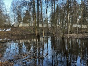 По состоянию на 24 апреля паводкоопасная обстановка на территории Раменского округа остается стабильной