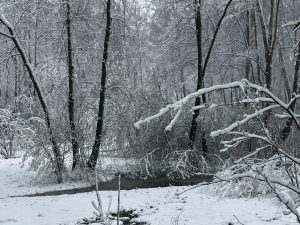 В Раменский округ вернулся снегопад. По данным синоптиков, такая погода может продлиться до среды