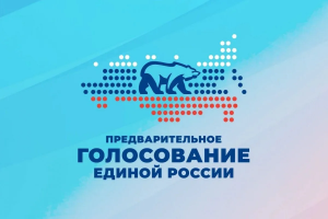Жители Раменского массово участвуют в предварительном голосовании «Единой России»