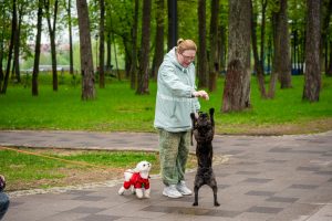 В Раменском округе действуют правила выгула домашних животных