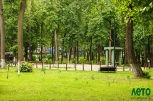 Развлекательная программа в Раменском парке