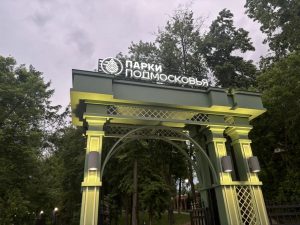 Открытую тренировку по самбо проведут в Раменском парке