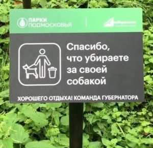 В Раменском округе действуют правила выгула домашних животных