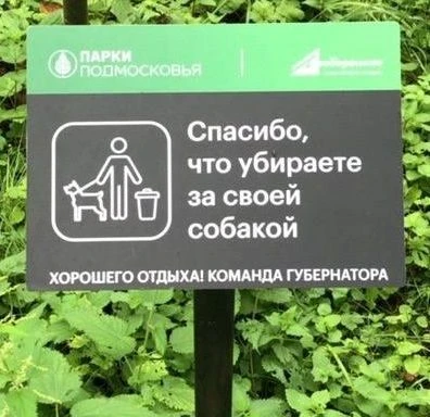 В Раменском округе действуют правила выгула домашних животных