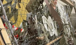 В ДК «Строитель» Раменского округа участники клуба «Активное долголетие» плетут маскировочные сети для бойцов СВО