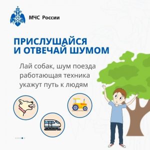 Жители Раменского округа, будьте внимательнее находясь в лесу
