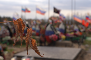 В Раменском прошла Всероссийская акция «Дни белых журавлей»