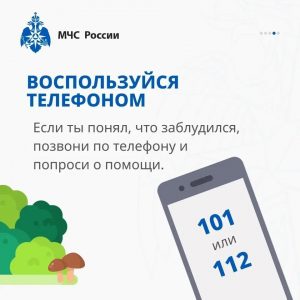 Жители Раменского округа, будьте внимательнее находясь в лесу